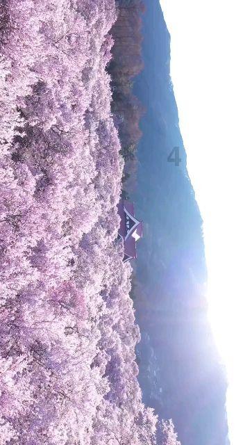 广州拟推高峰限行，新能源市场将迎新一轮增长