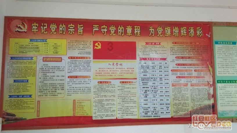 王菊穿不上礼服，赵露思被吐槽脸大脸胖，揭开娱乐圈“审美怪像”