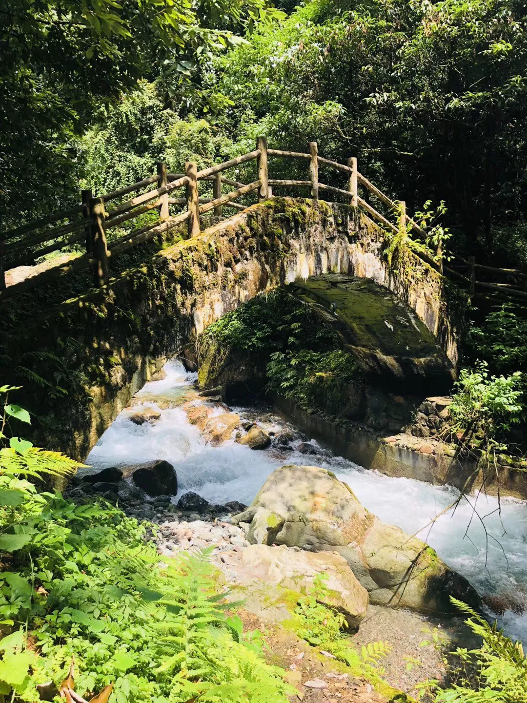 指挥官营救