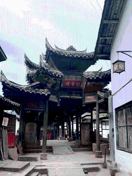 逃出小象森林