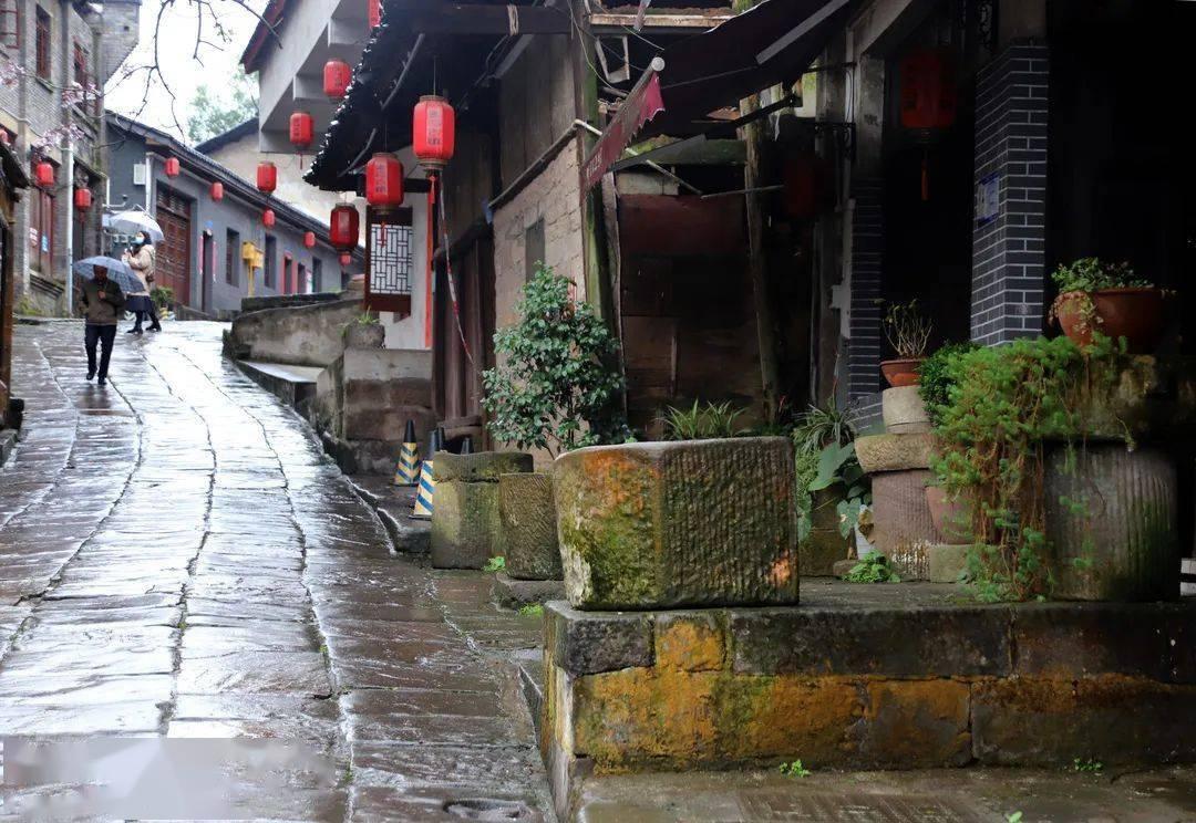 席慕蓉点评《愚公移山》破坏环境，红了40年的才女，如今要翻车